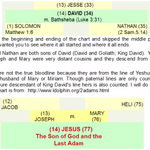 Yeshuas Chart With Solomon And Nathan - The Blood Of King Yeshua