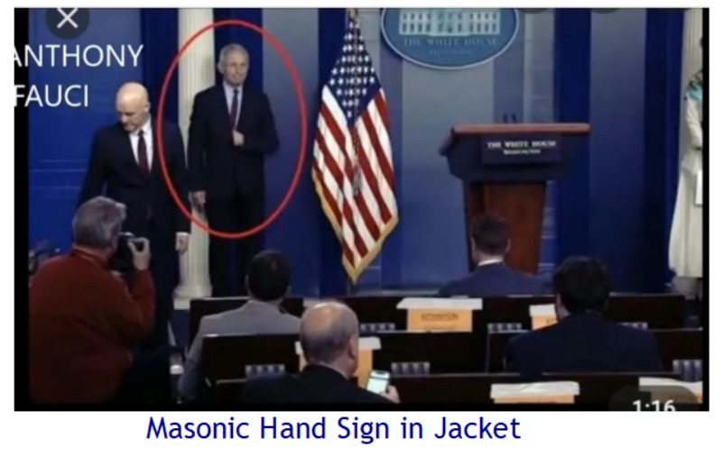 Fauci Hand In Jacket Mason